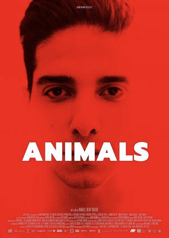 Animals 动物